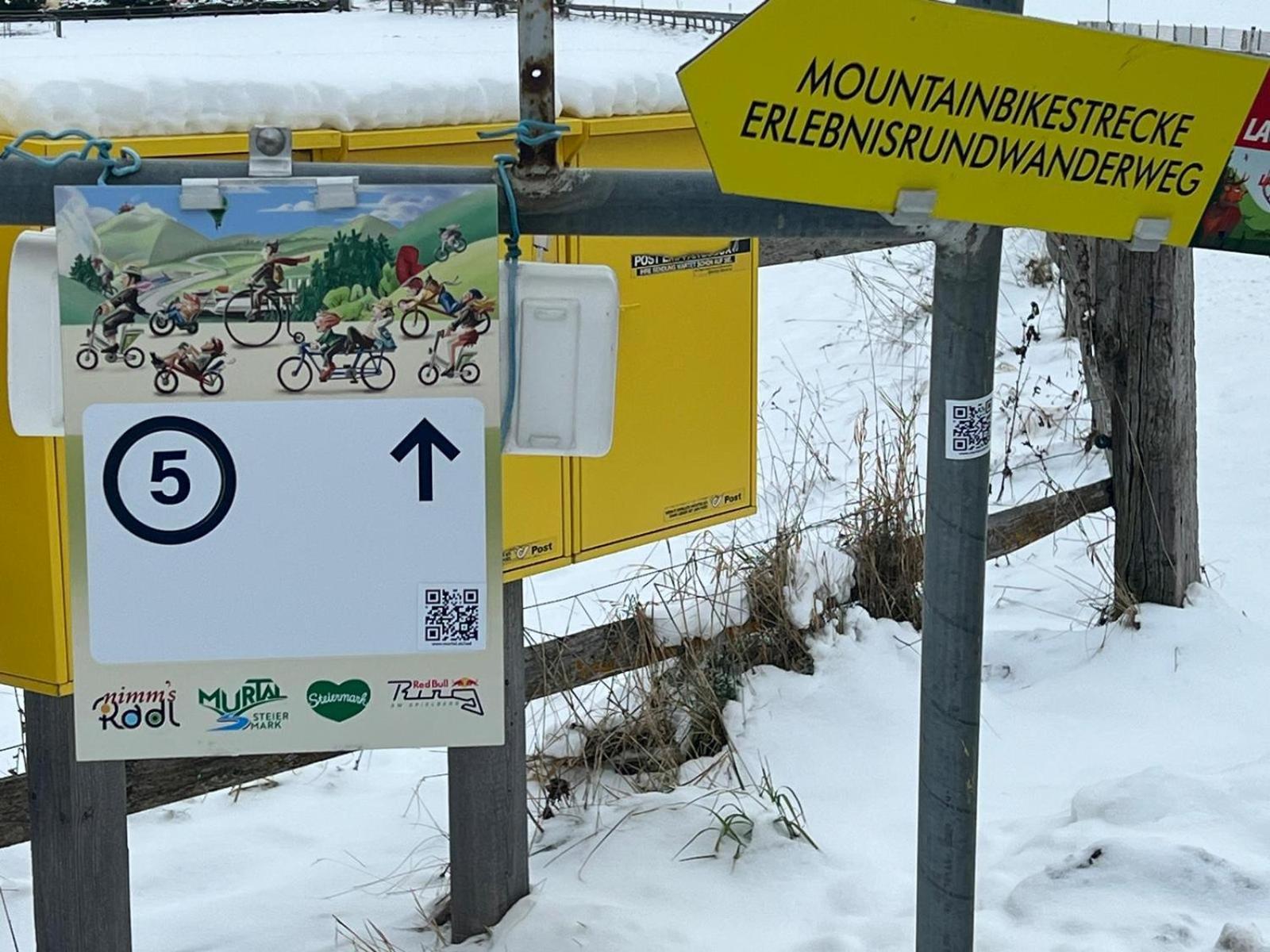 Poelstaler Berghuette Apartment Oberzeiring Bagian luar foto