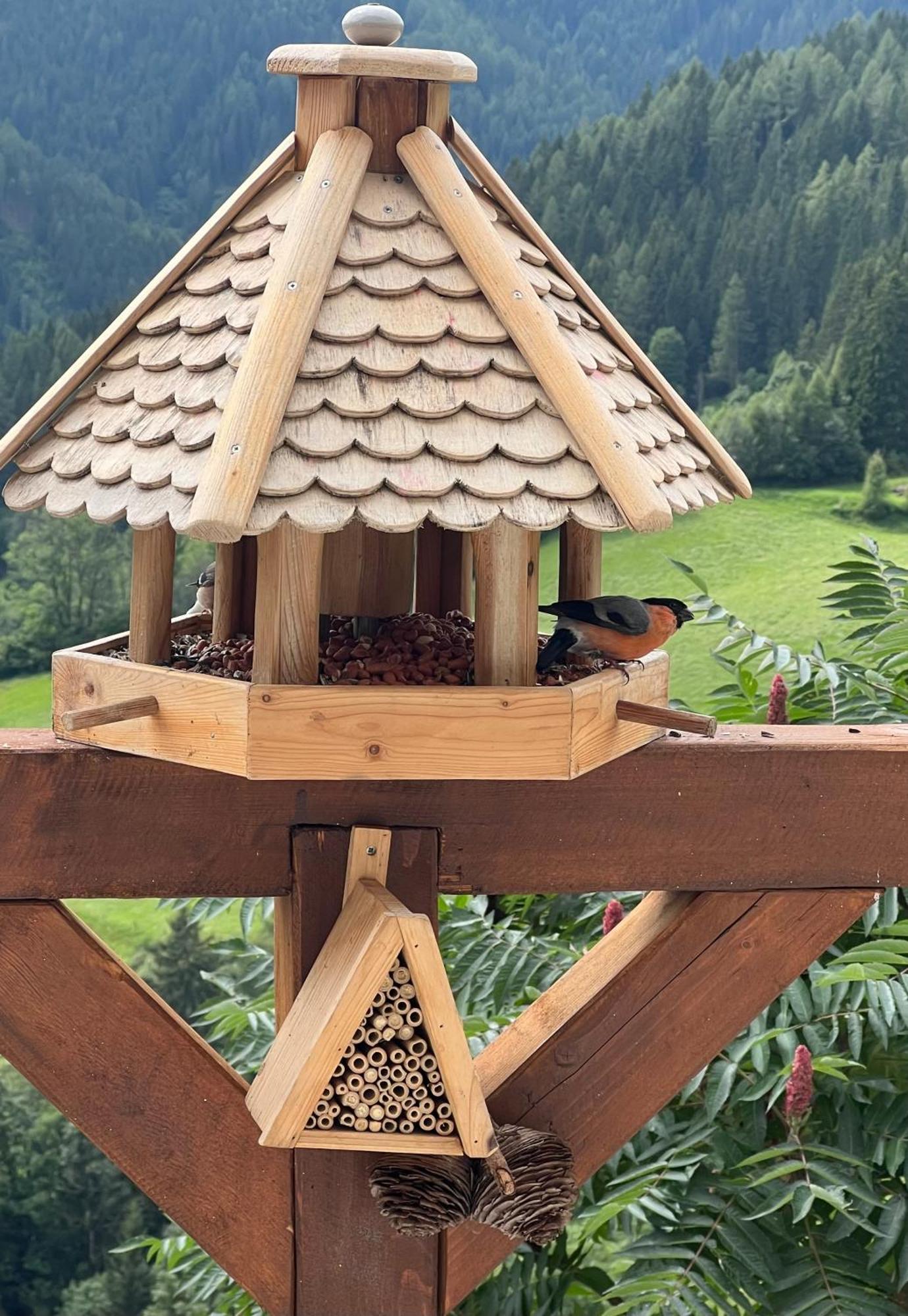 Poelstaler Berghuette Apartment Oberzeiring Bagian luar foto