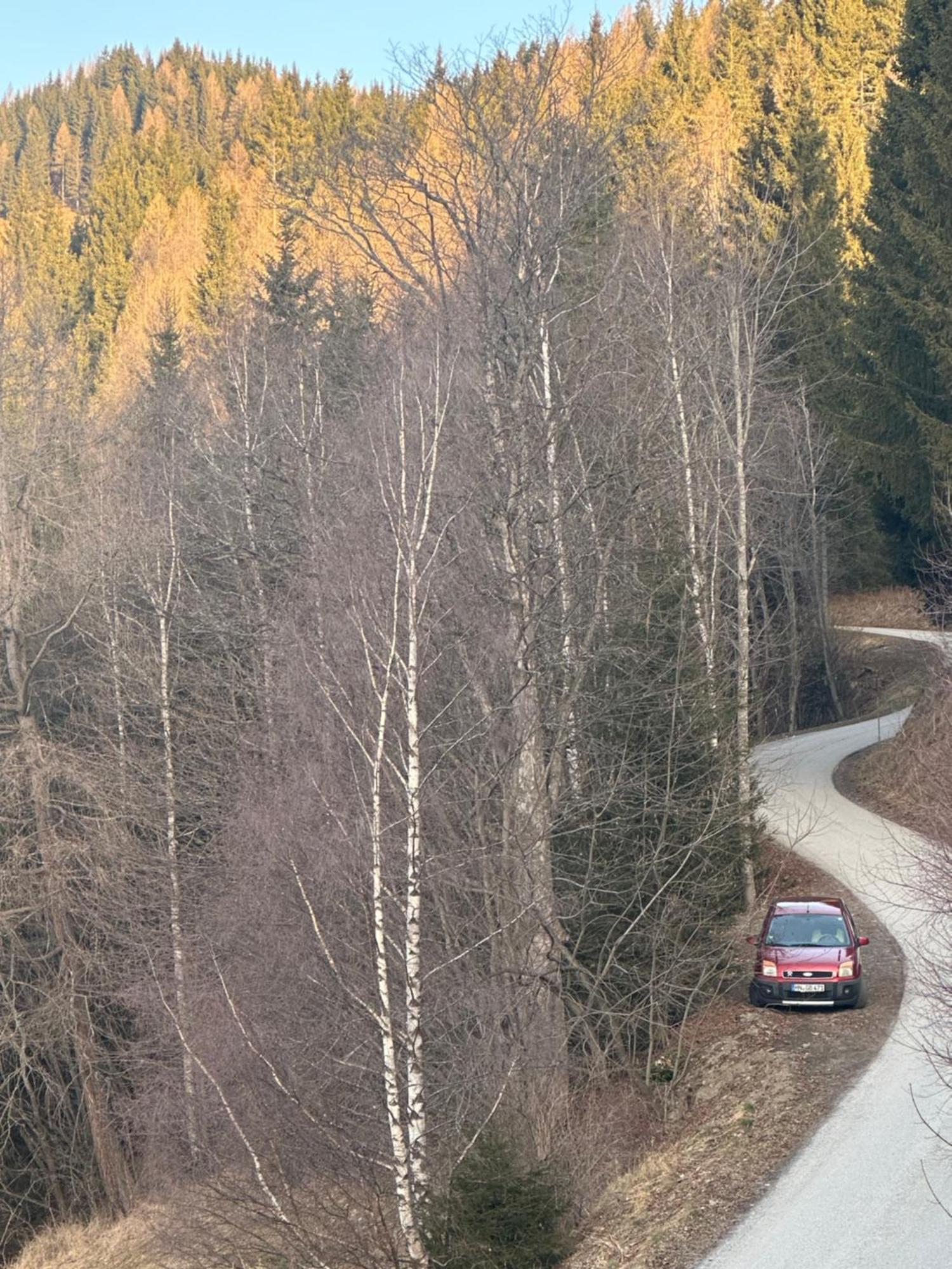 Poelstaler Berghuette Apartment Oberzeiring Bagian luar foto